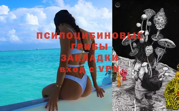 PSILOCYBIN Алзамай