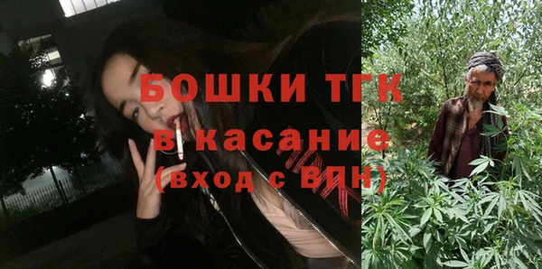PSILOCYBIN Алзамай