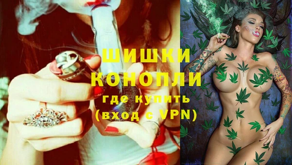 PSILOCYBIN Алзамай