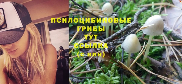 PSILOCYBIN Алзамай