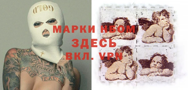 PSILOCYBIN Алзамай