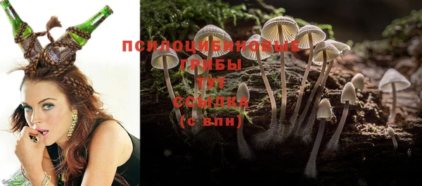 PSILOCYBIN Алзамай