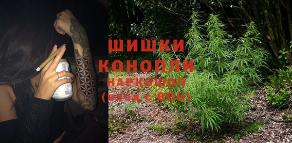 PSILOCYBIN Алзамай