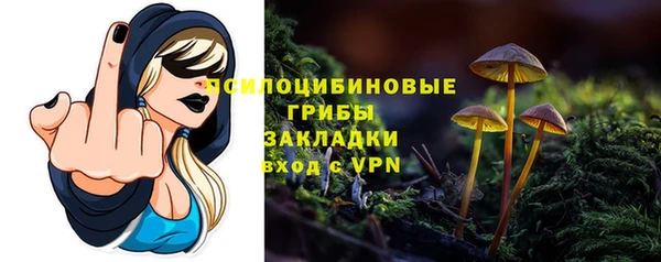 прущие крисы Алексеевка