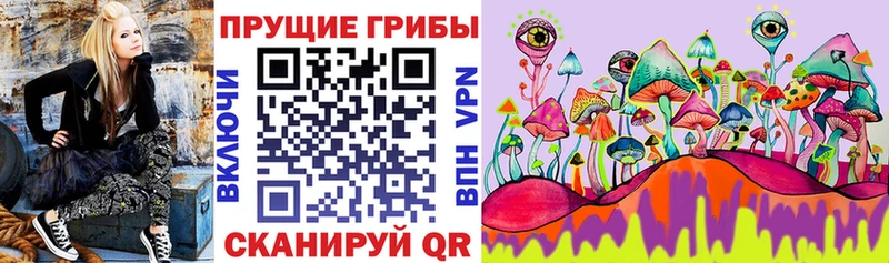Галлюциногенные грибы мицелий  купить закладку  Миасс 