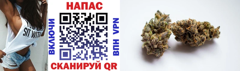 Бошки Шишки OG Kush  наркошоп  Миасс 